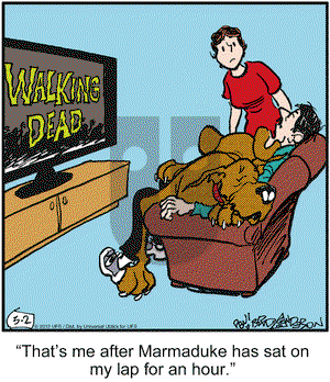 Marmaduke on Saturday March 2, 2013 Comic Strip