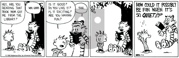 Calvin and Hobbes on Tuesday July 4, 1995 Comic Strip
