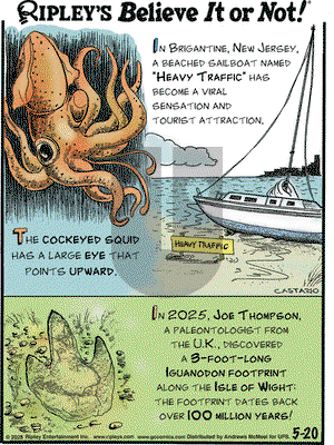Ripley's Believe It or Not on Tuesday May 20, 2025 Comic Strip