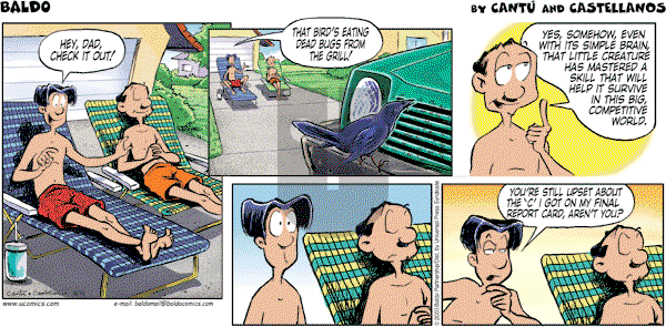 Baldo on Sunday August 16, 2009 Comic Strip