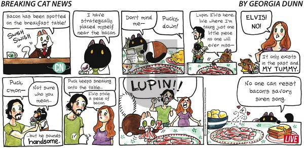 Breaking Cat News on Sunday September 2, 2018 Comic Strip