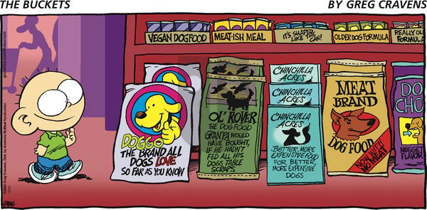 The Buckets on Sunday November 15, 2020 Comic Strip