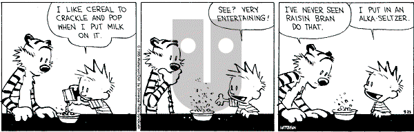 Calvin and Hobbes - Saturday September 23, 1995 Comic Strip