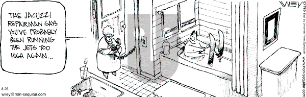 Non Sequitur on Saturday August 26, 2000 Comic Strip