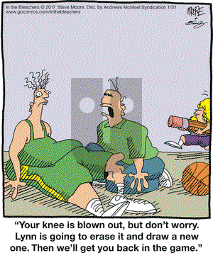 In the Bleachers on Tuesday January 31, 2017 Comic Strip