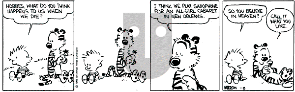 Calvin and Hobbes - Wednesday January 8, 1986 Comic Strip