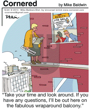 Cornered on Thursday December 24, 2015 Comic Strip