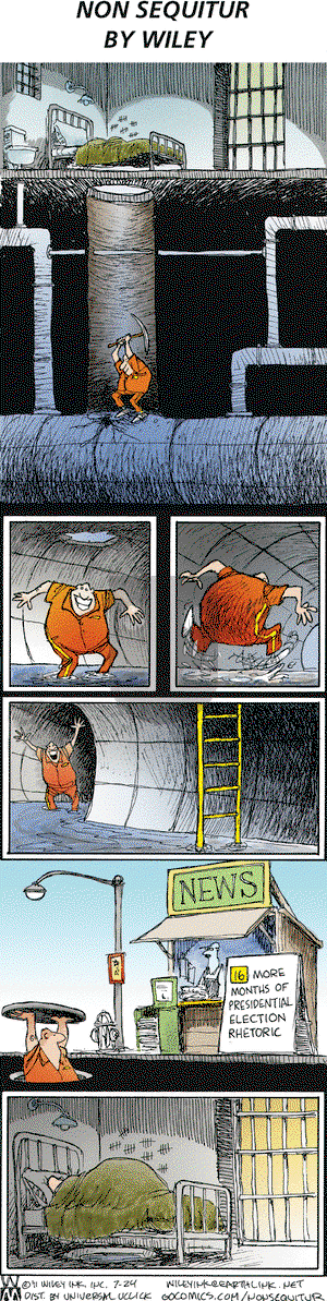 Non Sequitur on Sunday July 24, 2011 Comic Strip