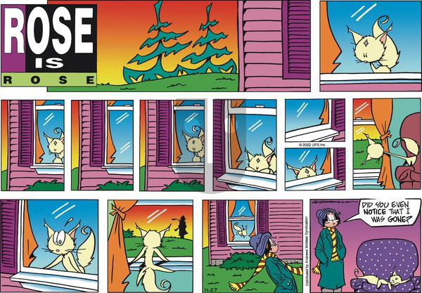 Rose is Rose - Sunday November 27, 2022 Comic Strip