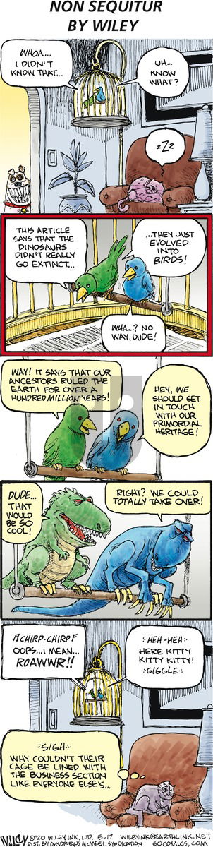 Non Sequitur on Sunday May 17, 2020 Comic Strip