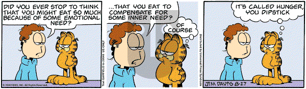 Garfield on Wednesday August 27, 2008 Comic Strip