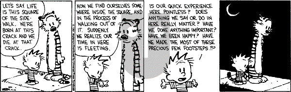 Calvin and Hobbes - Tuesday April 16, 1991 Comic Strip