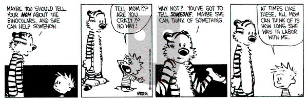 Calvin and Hobbes on Saturday May 21, 1988 Comic Strip
