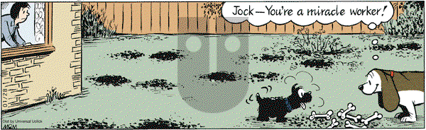 Fred Basset on Saturday January 28, 2012 Comic Strip