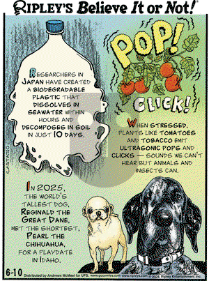 Ripley's Believe It or Not on Tuesday June 10, 2025 Comic Strip
