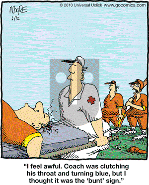 In the Bleachers on Saturday June 12, 2010 Comic Strip