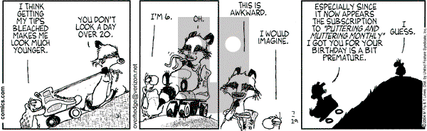 Over the Hedge on Thursday July 29, 2004 Comic Strip