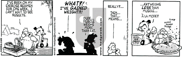 Over the Hedge on Friday January 17, 2003 Comic Strip