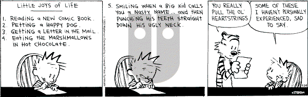 Calvin and Hobbes - Monday May 24, 1993 Comic Strip