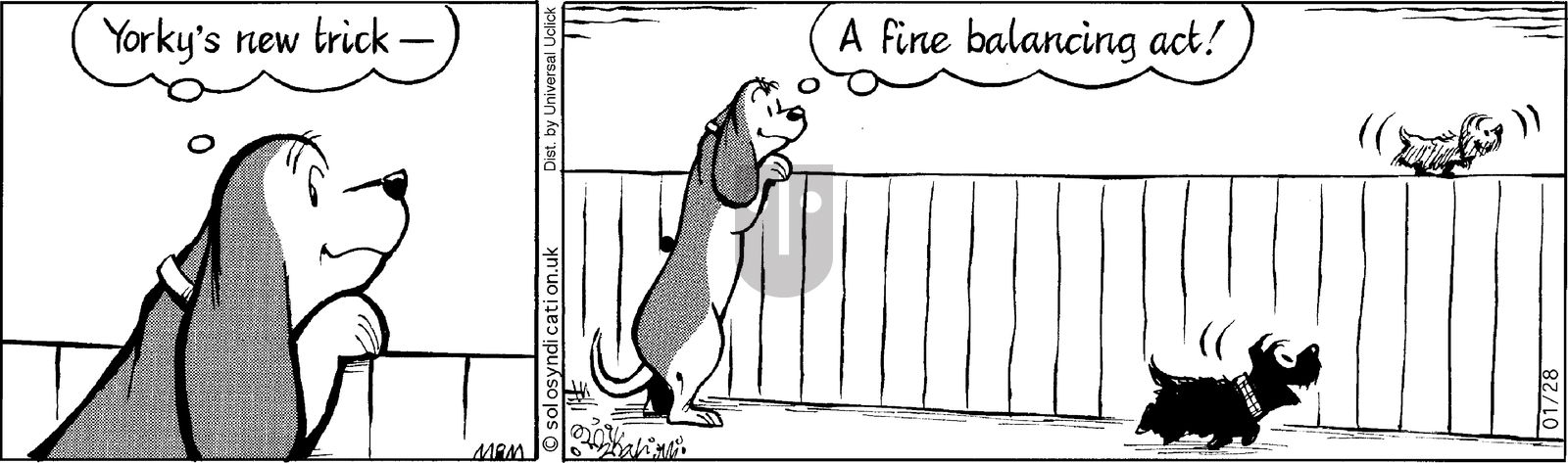 Fred Basset on Tuesday January 28, 2014 Comic Strip