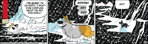 Rip Haywire on Wednesday March 6, 2019 Comic Strip