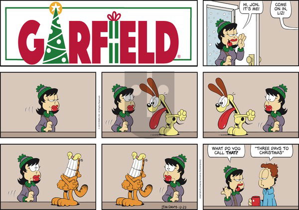 Garfield on Sunday December 22, 2019 Comic Strip