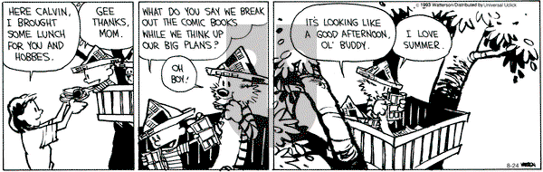 Calvin and Hobbes - Saturday August 24, 2013 Comic Strip