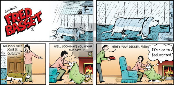 Fred Basset on Sunday February 6, 2011 Comic Strip