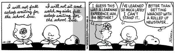 Peanuts on Friday October 28, 1988 Comic Strip