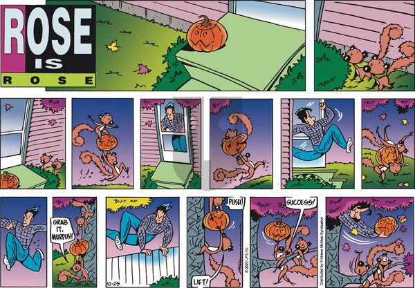 Rose is Rose on Sunday October 25, 2020 Comic Strip