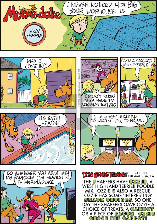 Marmaduke on Sunday February 21, 2021 Comic Strip