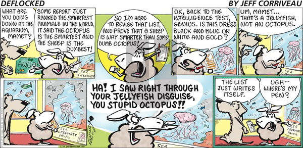 DeFlocked on Sunday January 20, 2019 Comic Strip