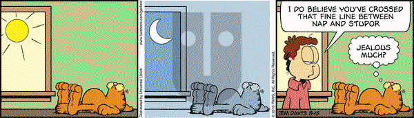 Garfield on Monday August 15, 2016 Comic Strip