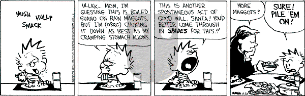 Calvin and Hobbes - Wednesday December 23, 1992 Comic Strip