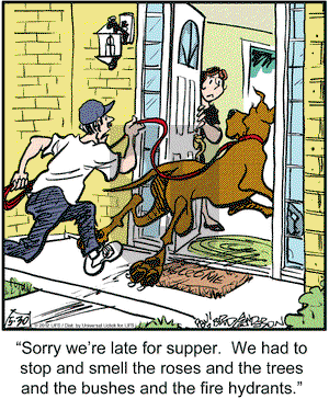 Marmaduke on Wednesday May 30, 2012 Comic Strip