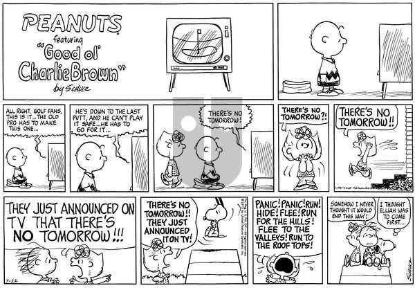 Peanuts on Sunday July 22, 1973 Comic Strip