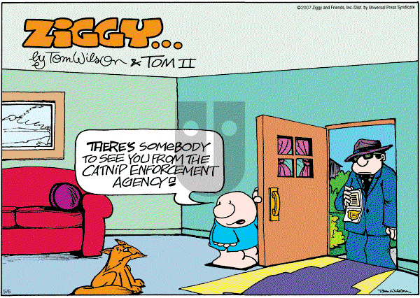 Ziggy - Sunday May 6, 2007 Comic Strip