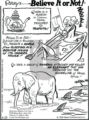 Ripley's Believe It or Not on Friday April 10, 1998 Comic Strip