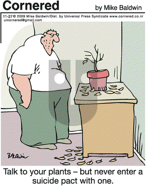 Cornered on Friday November 27, 2009 Comic Strip