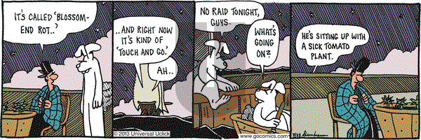 Overboard on Tuesday July 23, 2013 Comic Strip