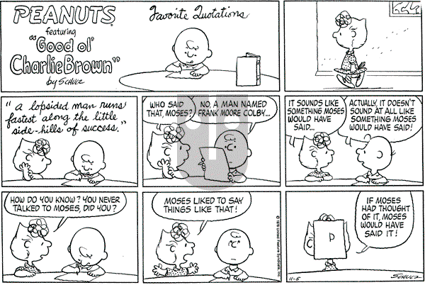 Peanuts - Sunday November 5, 1978 Comic Strip