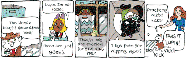 Breaking Cat News on Wednesday July 12, 2017 Comic Strip