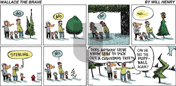 Wallace the Brave on Sunday December 16, 2018 Comic Strip