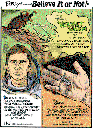 Ripley's Believe It or Not on Tuesday November 5, 2013 Comic Strip