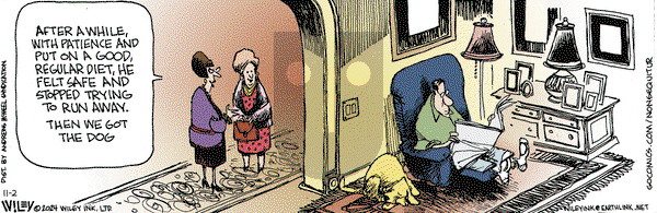 Non Sequitur - Saturday November 2, 2024 Comic Strip