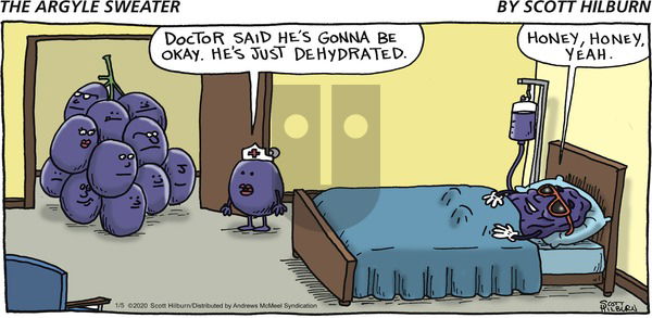 The Argyle Sweater on Sunday January 5, 2020 Comic Strip
