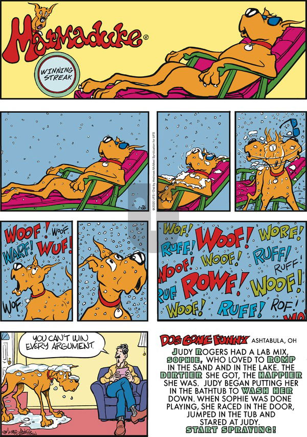 Marmaduke on Sunday January 26, 2020 Comic Strip