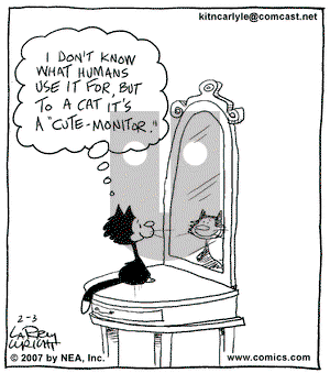 Kit 'N' Carlyle on Saturday February 3, 2007 Comic Strip