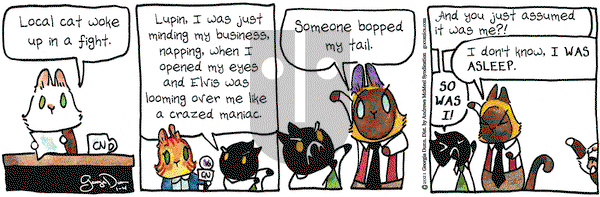 Breaking Cat News on Monday January 4, 2021 Comic Strip