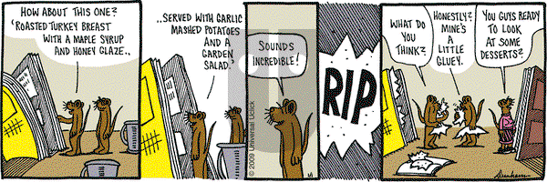 Overboard on Friday January 1, 2010 Comic Strip